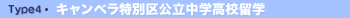 Type4.������ȥ�ꥢ����Ω���α�؎��⹻α�����ѡʳ�����
