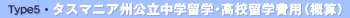 Type5.�����ޥ˥�����Ω���α�؎��⹻α�����ѡʳ�����