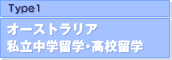 Type1.���������ȥ�ꥢ���ʥѡ����˸���Ω��ع⹻