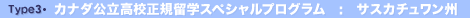 Type3.��Ω�ع�α�إץ������