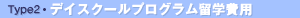 Type2.�ǥ���������ץ������α������