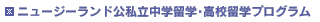 �˥塼�������ɸ���Ω���α�؎��⹻α�إץ������