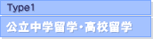 Type1:��Ω���α�؎��⹻α��