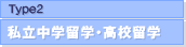 Type2����Ω���α�؎��⹻α��