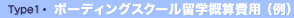 Type1.��Ω�ܡ��ǥ��󥰥���������������˳���α������