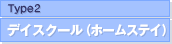 Type2�F�f�C�X�N�[���i�z�[���X�e�C�j