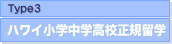Type3�F�n���C���w���w���Z���K���w
