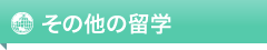 その他の留学